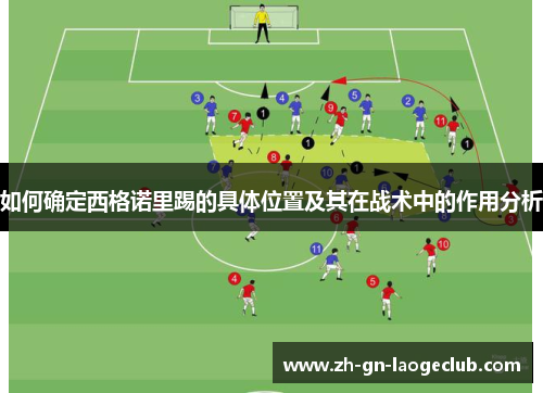 如何确定西格诺里踢的具体位置及其在战术中的作用分析