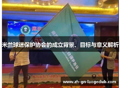 米兰球迷保护协会的成立背景、目标与意义解析 米兰球迷保护协会的成立背景、目标与意义解析