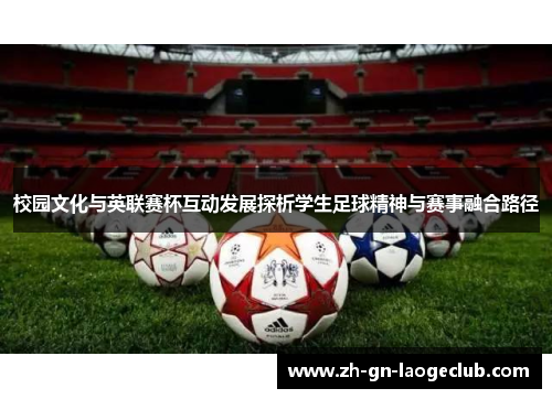 校园文化与英联赛杯互动发展探析学生足球精神与赛事融合路径