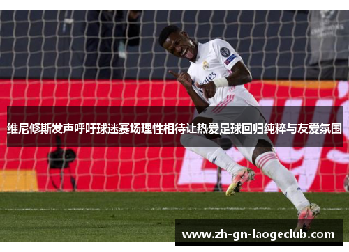 维尼修斯发声呼吁球迷赛场理性相待让热爱足球回归纯粹与友爱氛围