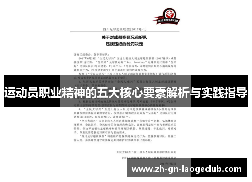运动员职业精神的五大核心要素解析与实践指导 运动员职业精神的五大核心要素解析与实践指导